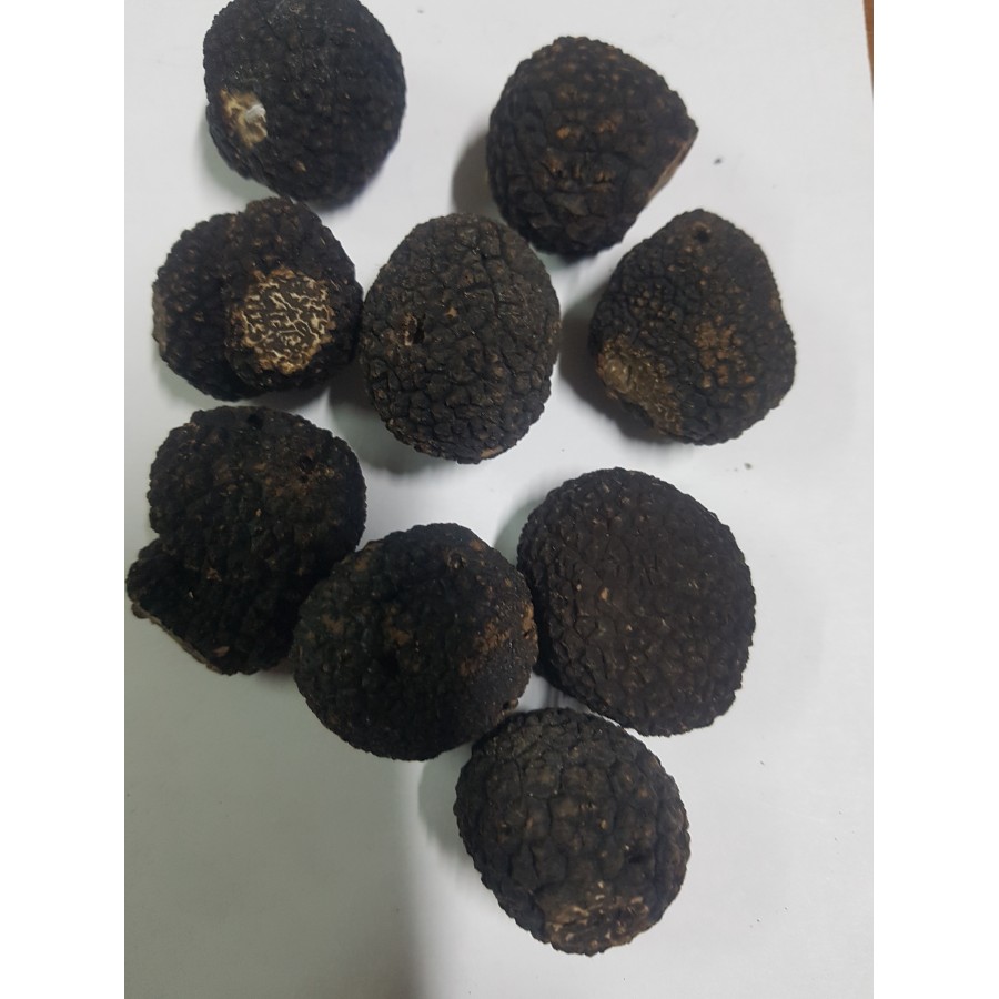 Truffe noire fraîche du Périgord 1ère catégorie - Tuber melanosporum
