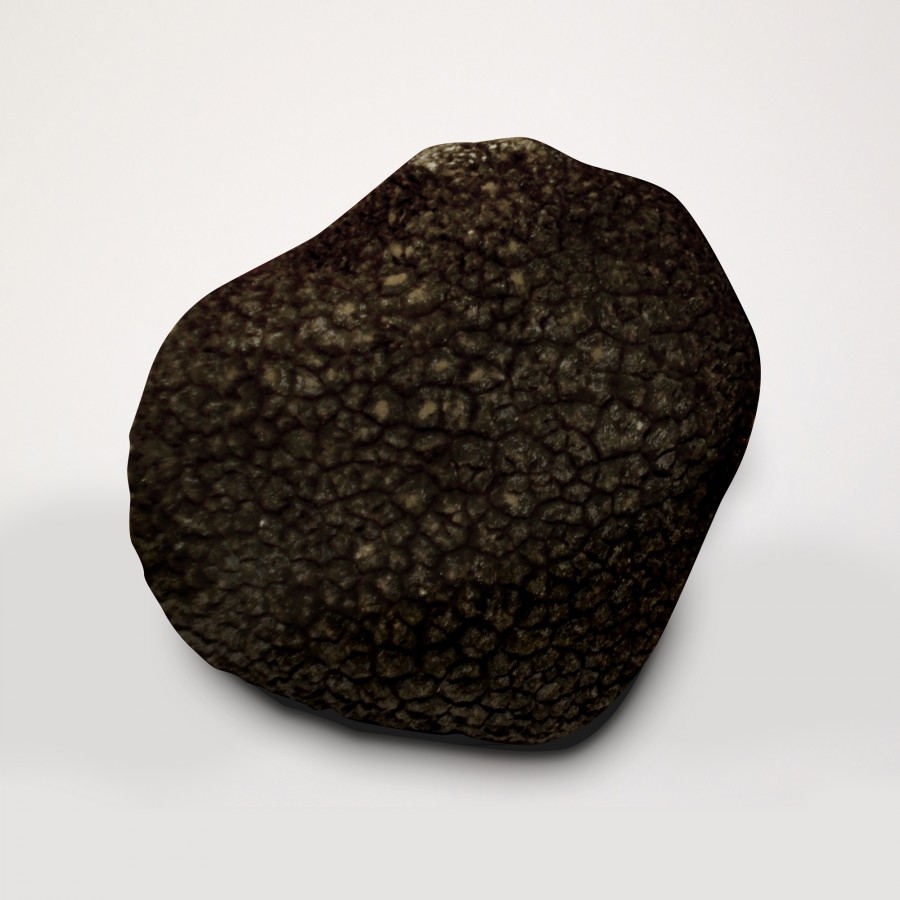 Truffe Noire du Périgord fraîche - 2ème catégorie - 100g