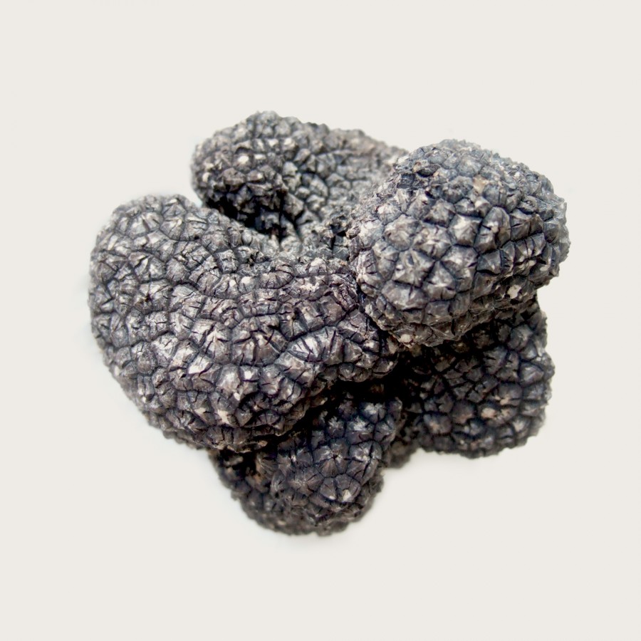 Truffes fraîches d'été et d'hiver